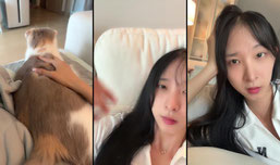 ㅎㅇ