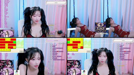 28일차) 할리퀸