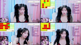 28일차) 할리퀸