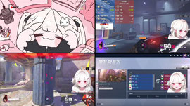 베이봤 ?인가 ?
