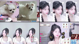 한주의마지막 불금 승이><