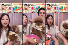 No.1 PET supplement from 🇰🇷