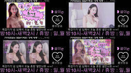 늅)39일차,공지 홍방