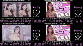 늅)39일차,공지 홍방