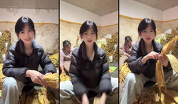 恩施大山烟草女孩
