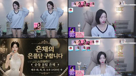 순둥 67일차) 출근시그 줄 왕댜님
