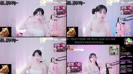 <순둥> 도크레인퇴방 기다리면오나요..ෆ 플단무한기다림