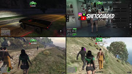 THE PALMS RP