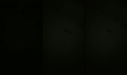 Click for fun!