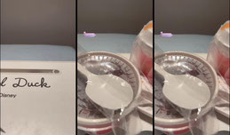 proudfox打卡唠嗑