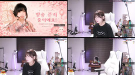 내일 버스킹 취소...................