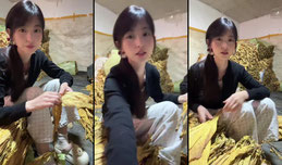 恩施大山烟草女孩