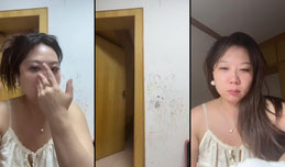 @广元宝总