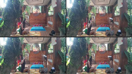 Yoga and Resolve any disease