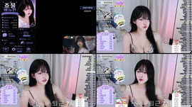 527개 방셀가져가