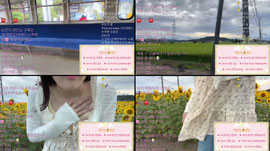 로컬철도🚃🌻해바라기/시가현/야방친구모집/일본인/노래맛집/음악소통랜선야방여행/