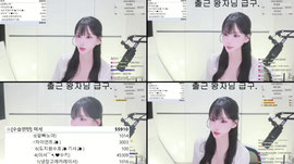 [순둥A] ❤️벌칙조 퇴방❤️잇플단 모집중❤️저점매수 망강부 !
