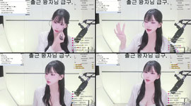 [순둥A] ❤️벌칙조 퇴방❤️잇플단 모집중❤️개똥손 저는 샤갈련입니다.