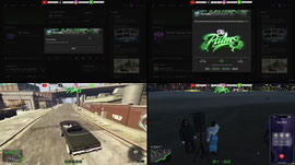 THE PALMS RP