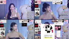 [급구] 미친년 수집이 취미이신 분?