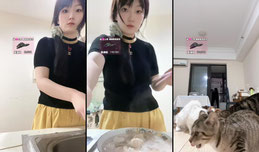 小猫睡播