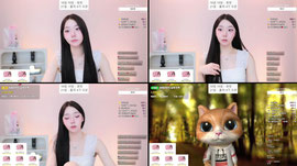 [홀릭,어나더,S컴,뮤즈,퀸덤,팬스,노블,순둥] 비상비상