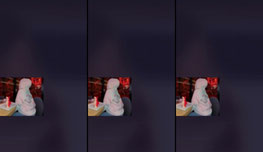 Click for fun!