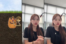 하 김짤랑 입원중 하 끝날때 까지 끝난게 아니냐거 ㅅㅂ