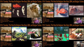 If It's Tuesday, This Must Be Belgium: New Beat, EBM, and Belgian Techno