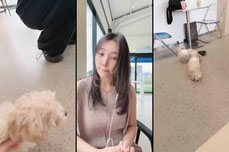 그르까! 다다팀 해보까? そうする〜？ダダチームに入ってみる？