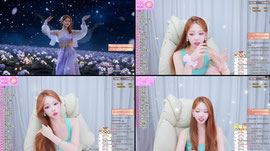 뉴시그 100/105