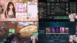 배그 랜드 중계