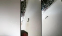 Click for fun!