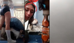Click for fun!