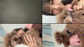 犬と配信‼️お話しましょー！