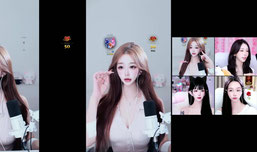 신입!