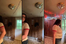 Untitled stream