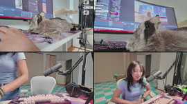 BAO GETS INTO TAXIDERMY / VOICE OVER GAME LATER