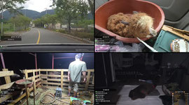 [길동세끼] 숲최초!! 새끼알파카 합사 테스트합니다!!ㄷㄱㄷㄱ