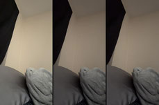 Untitled stream