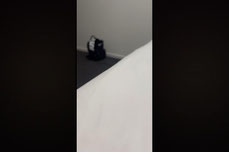 Untitled stream