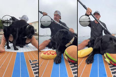 Early morning paddle #477