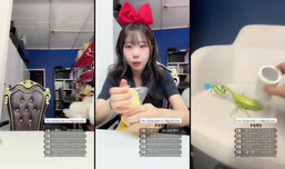 코스프레알바생
