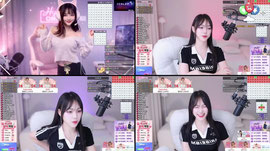 기본값은 친절한 스트리머💕