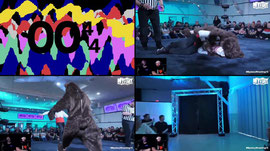 FULL MATCH: "Top Dog" Franklin Mayer vs. A Bear | Mystery Wrestling 15