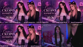 💜МУРлыкаем💜 !tg