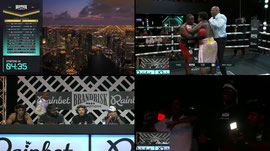 BRANDRISK PROMOTIONS #15