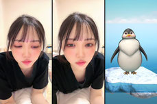 なにする？