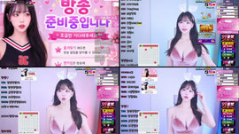 하이레그 토끼