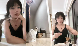小猫睡播